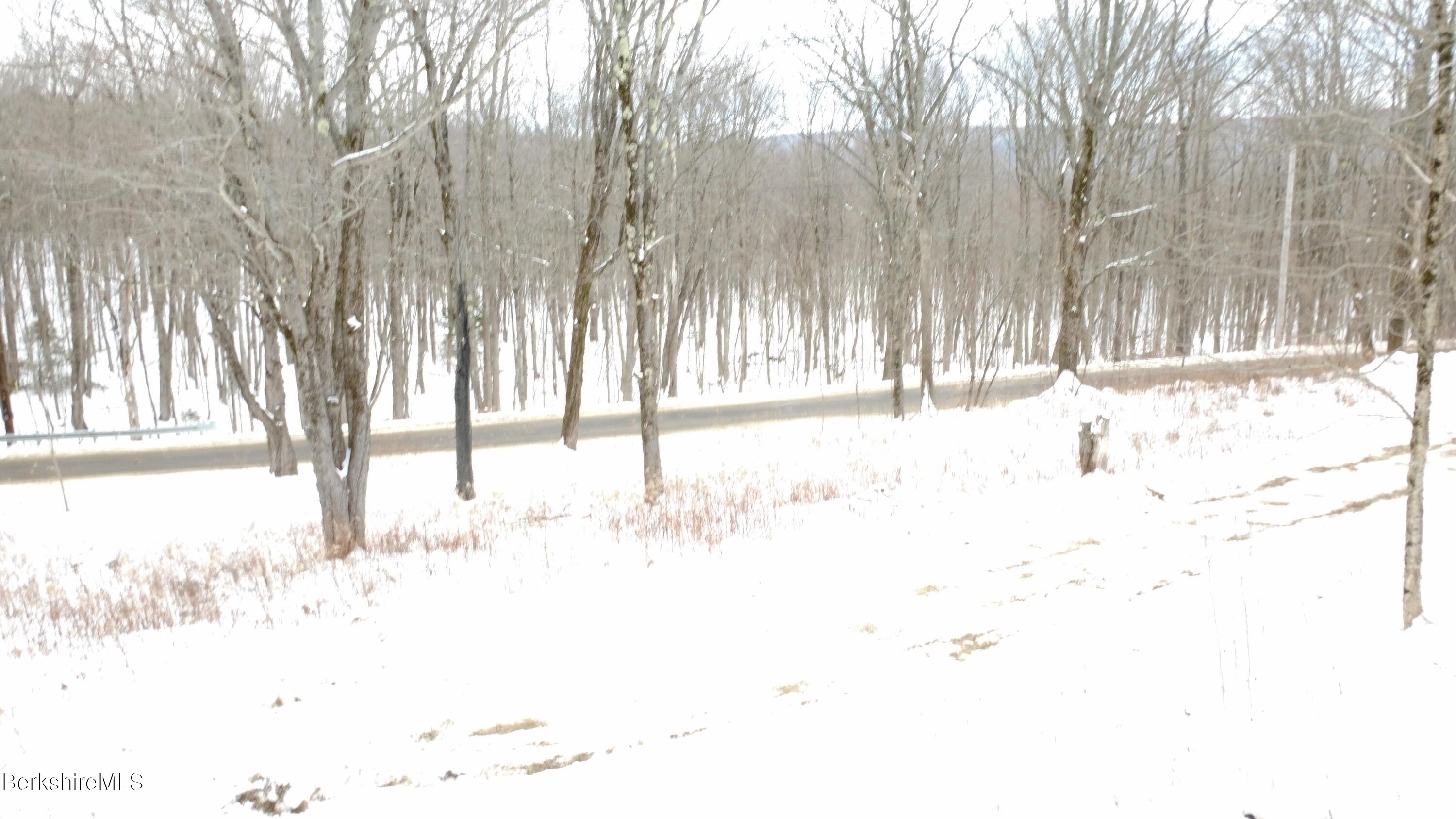 140 Strykers Road Florida, MA 01247 - Photo 22 of 23 driveway