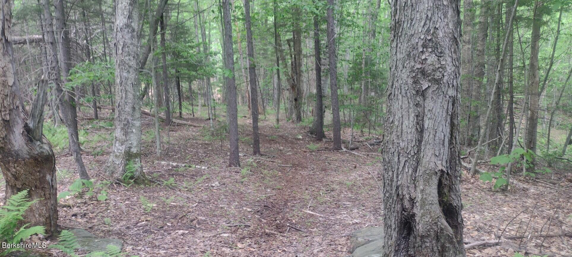 140 Strykers Road Florida, MA 01247 - Photo 3 of 23 trails throughout property