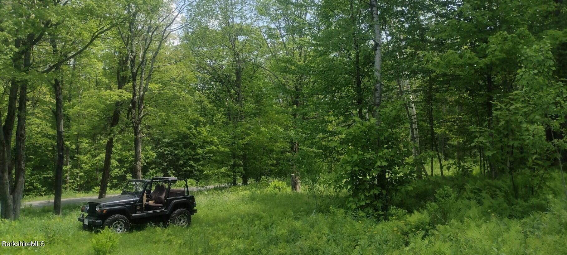 140 Strykers Road Florida, MA 01247 - Photo 4 of 23 summer time at property