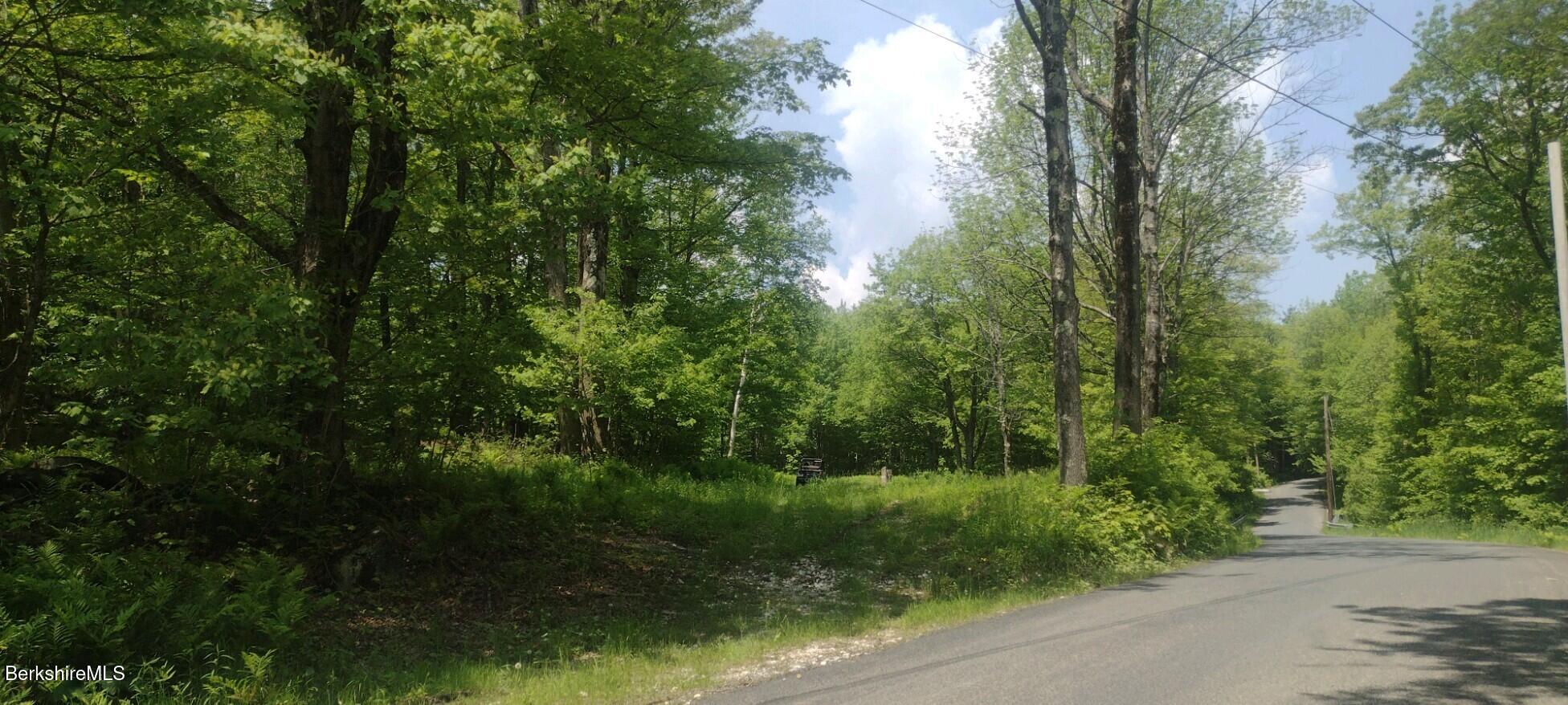 140 Strykers Road Florida, MA 01247 - Photo 6 of 23 peaceful country road setting