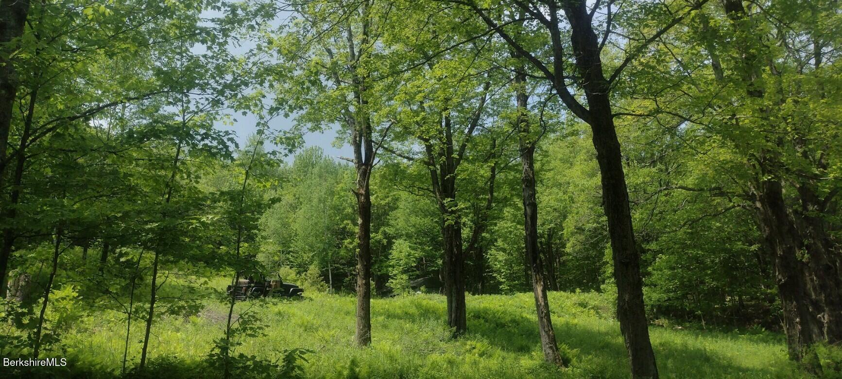 140 Strykers Road Florida, MA 01247 - Photo 7 of 23 woods throughout