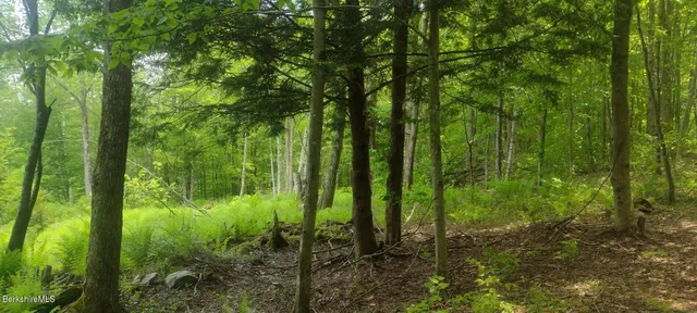 $119,900 | 140 Strykers Road, Florida, MA 01247