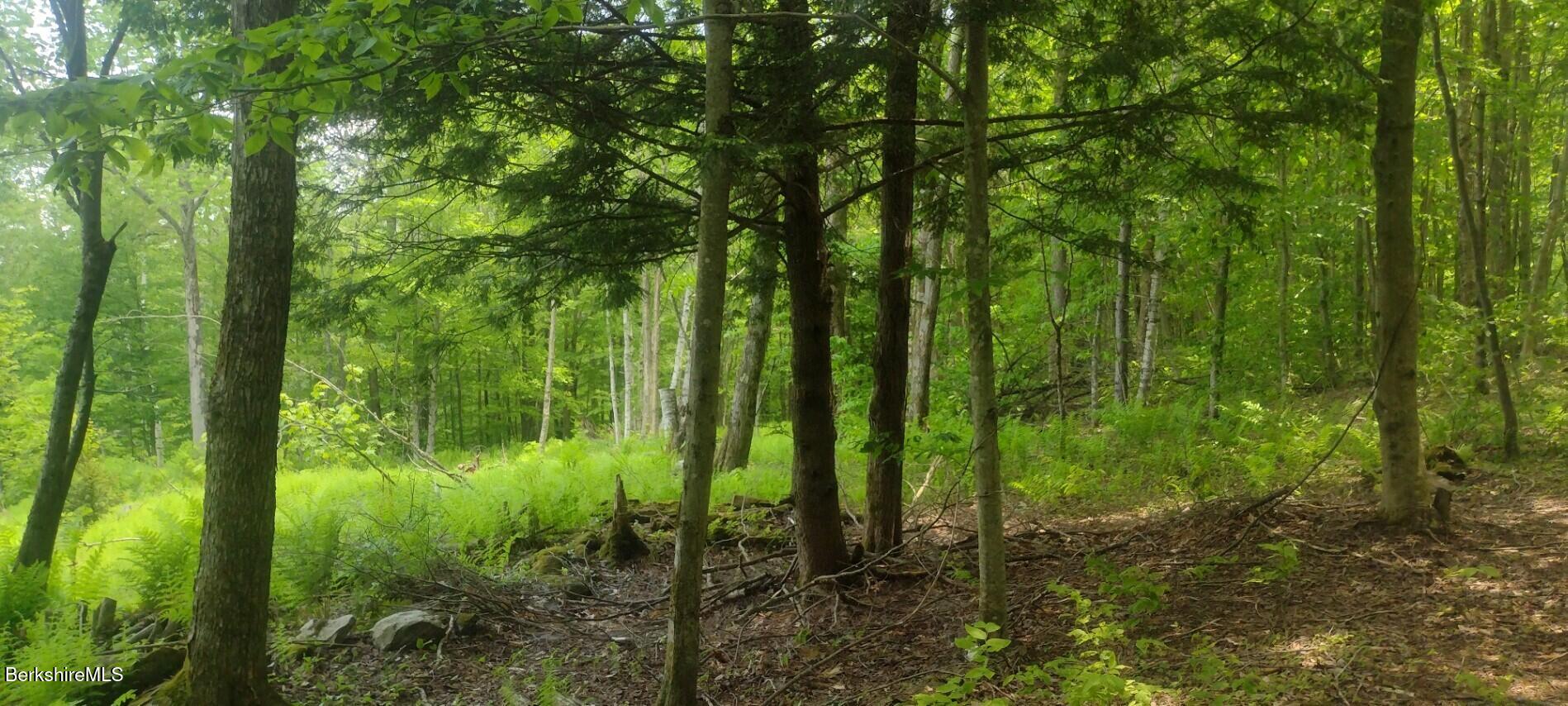 140 Strykers Road Florida, MA 01247 - Photo 8 of 23 output_image1766016238599