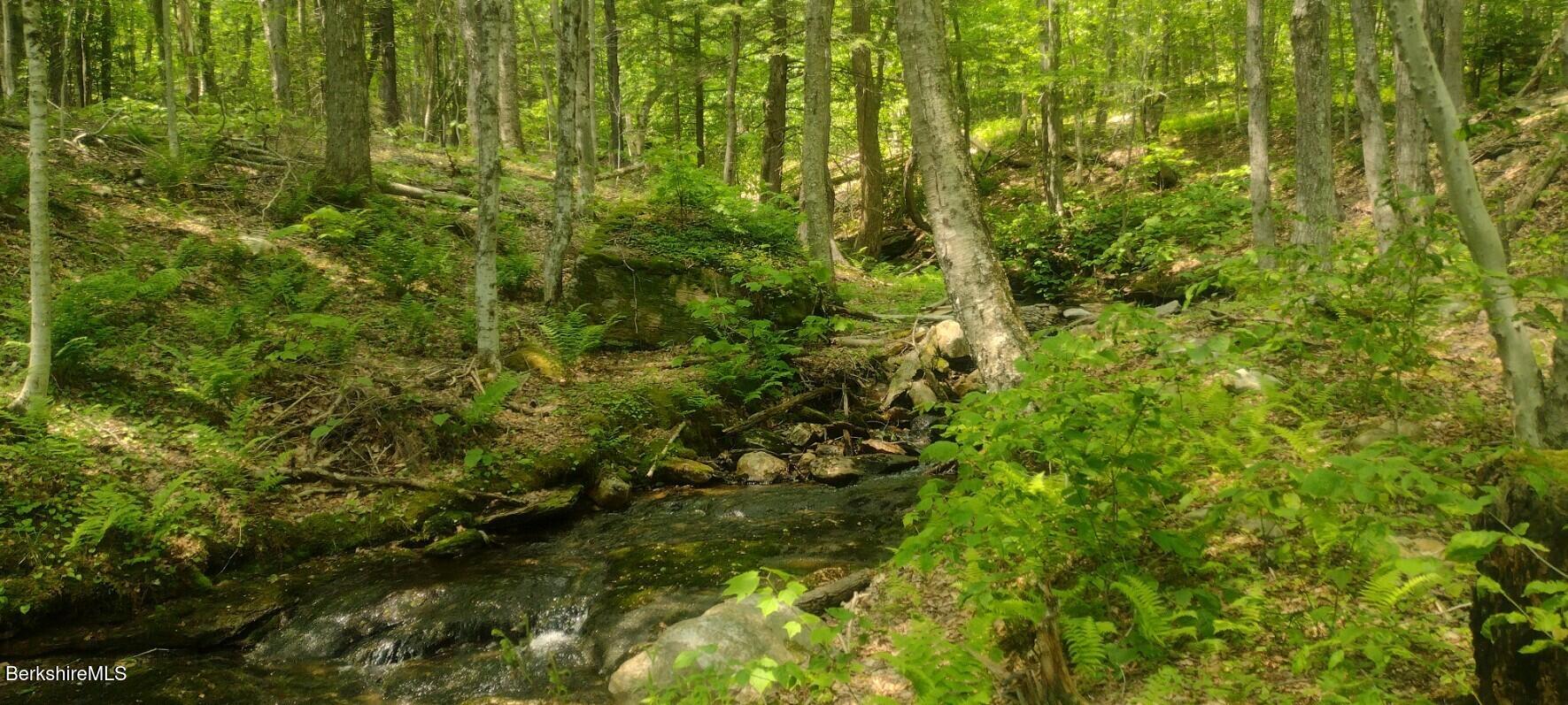 140 Strykers Road Florida, MA 01247 - Photo 9 of 23 output_image1766016465784