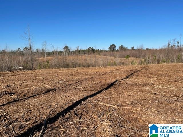 815 County Road, Unit 3 5 Wedowee, AL 36278 - Photo 3 of 4