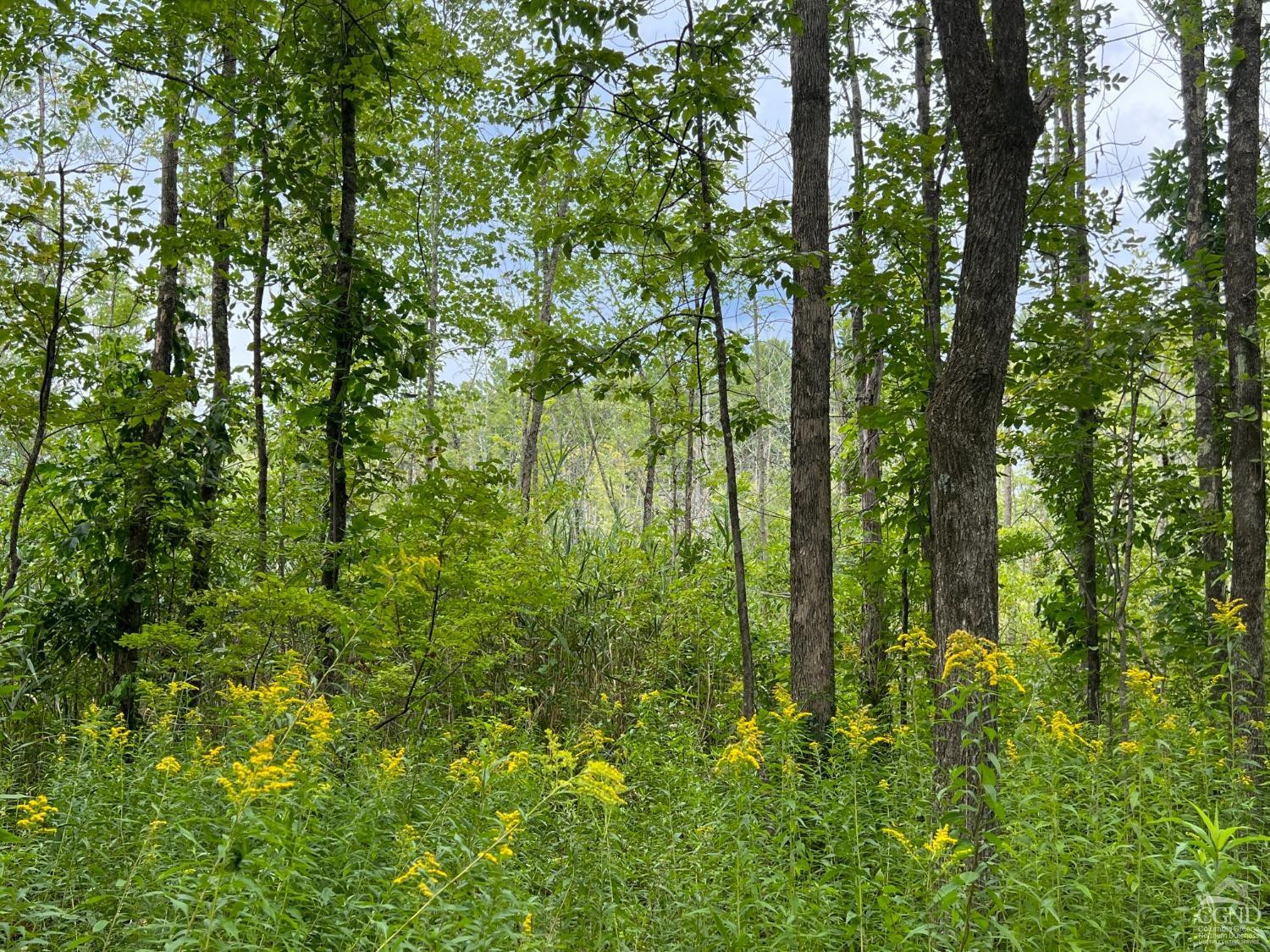 0 Amy Road Falls Village, CT 06031 - Photo 13 of 26 Photo 14
