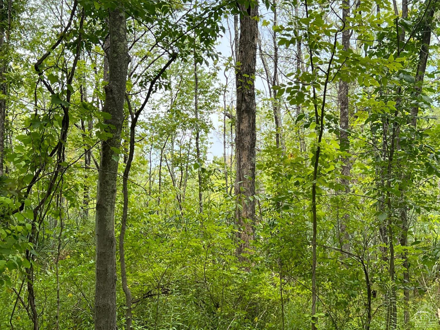 0 Amy Road Falls Village, CT 06031 - Photo 23 of 26 Photo 24