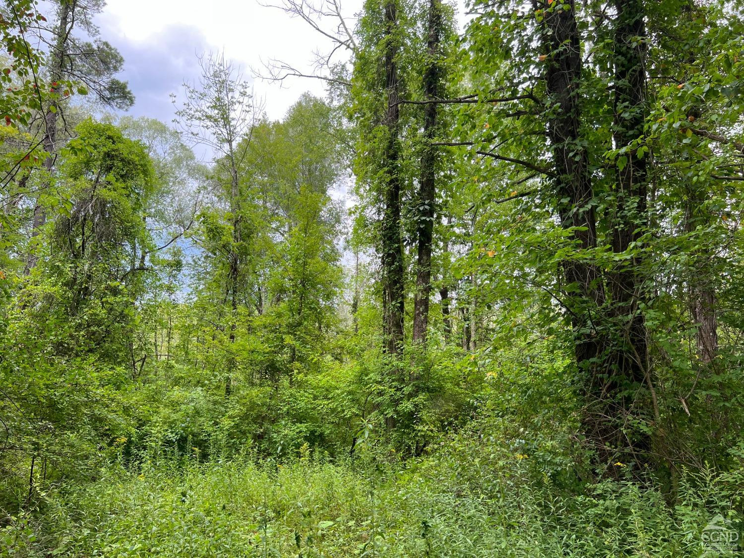 0 Amy Road Falls Village, CT 06031 - Photo 26 of 26 Photo 27