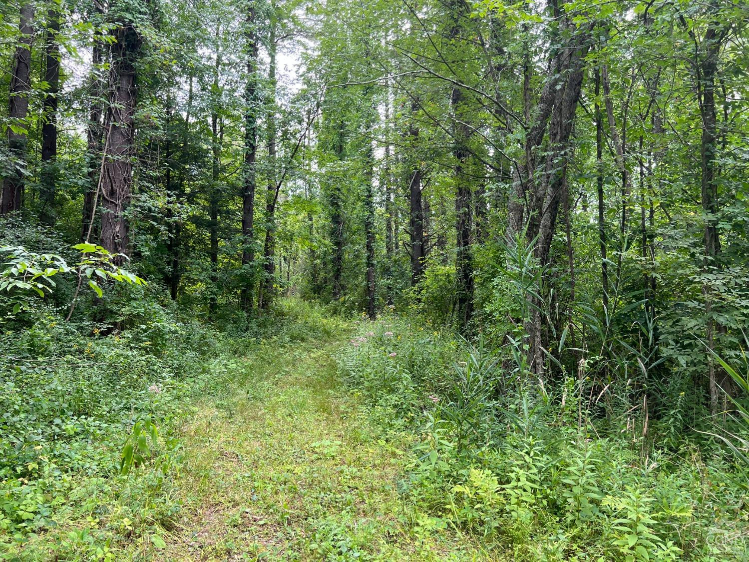 0 Amy Road Falls Village, CT 06031 - Photo 6 of 26 Photo 6