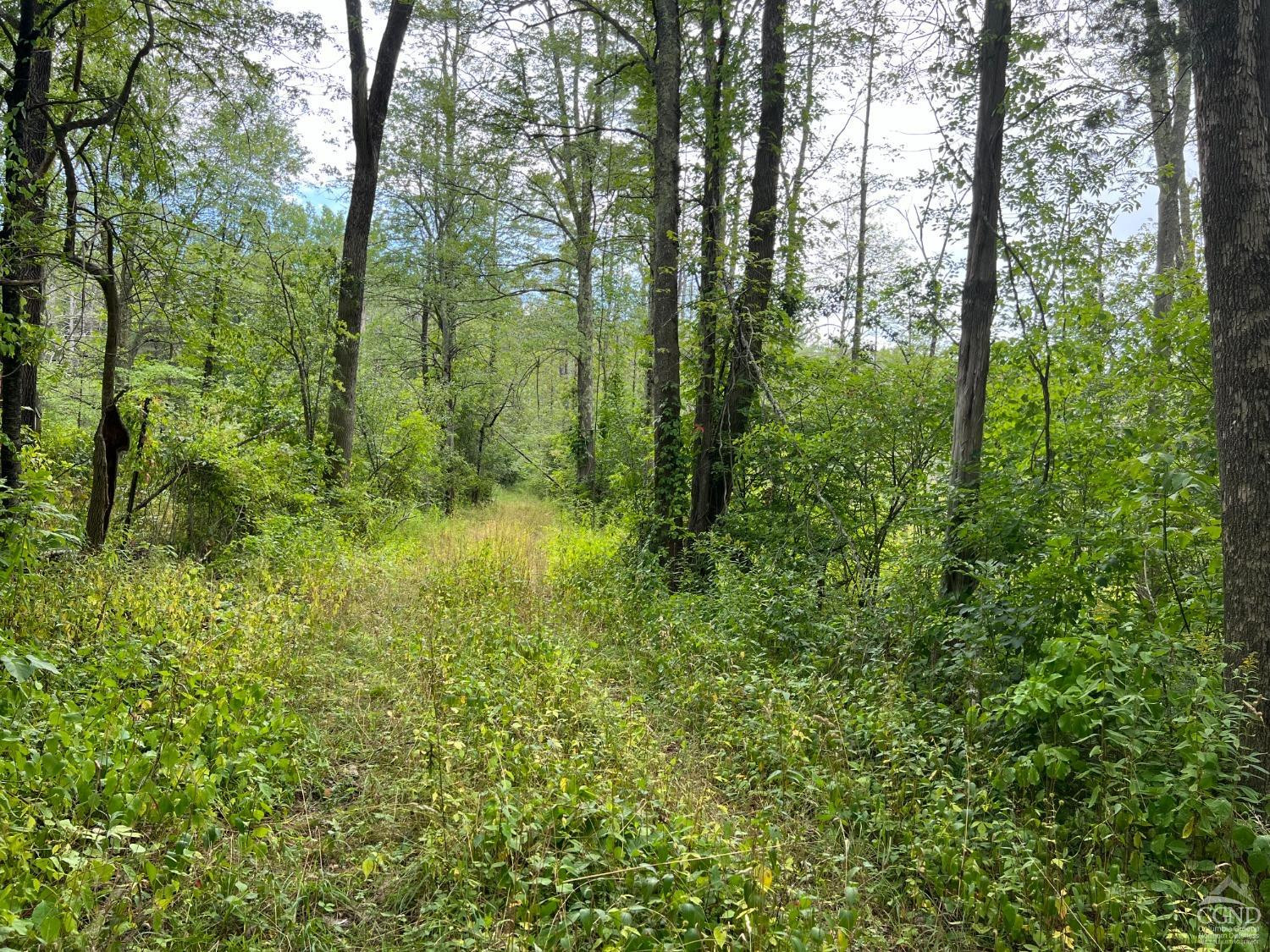 0 Amy Road Falls Village, CT 06031 - Photo 10 of 26 Photo 10