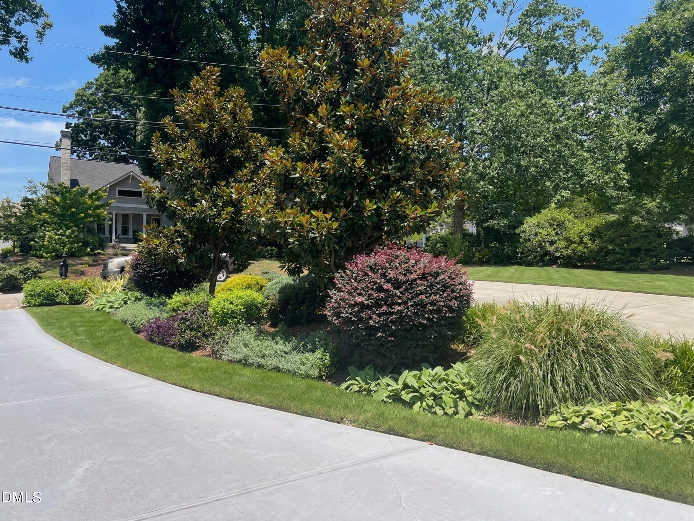 2118 Cowper Drive Raleigh, NC 27608 - Photo 7 of 13 Front Yard Landscaping