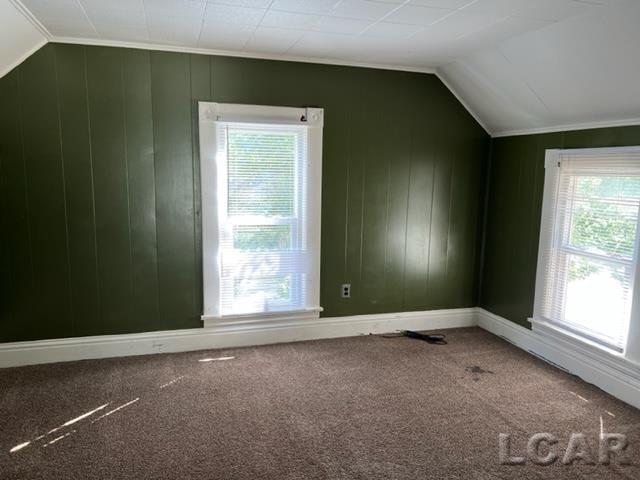 655 South Winter Street Adrian, MI 49221 - Photo 8 of 10