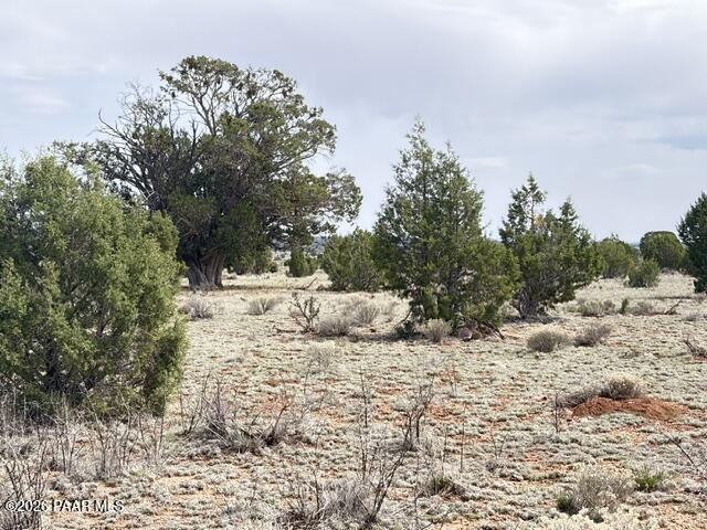 595 Ravens Rest Seligman, AZ 86337 - Photo 17 of 22 a view of a yard covered in snow