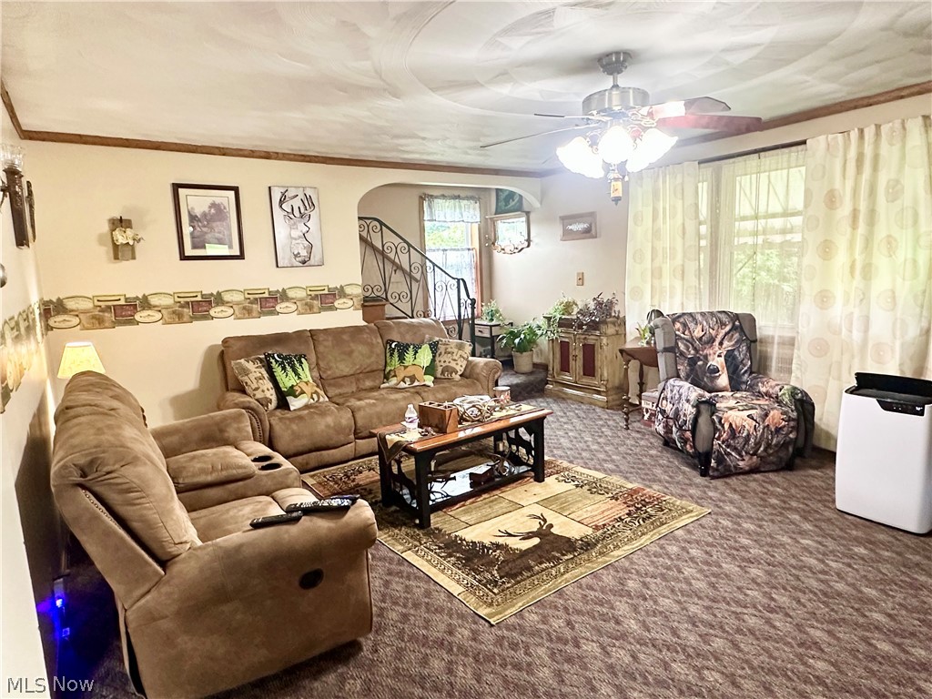 4260 Apple Pie Ridge Road Wellsburg, WV 26070 - Photo 3 of 42 Living room featuring ceiling fan and carpet flooring