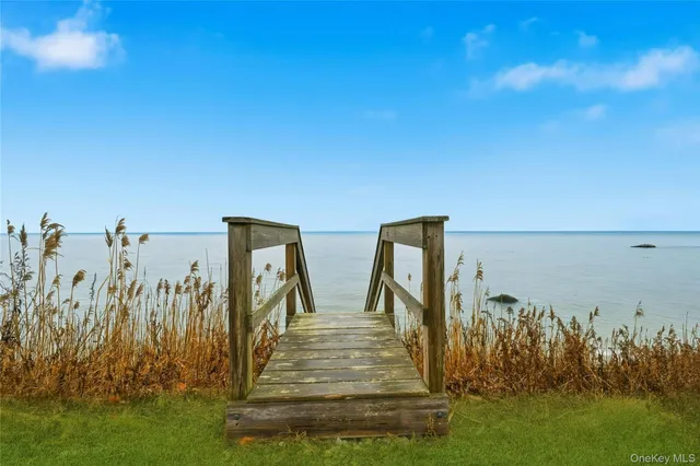 a view of a city with large trees