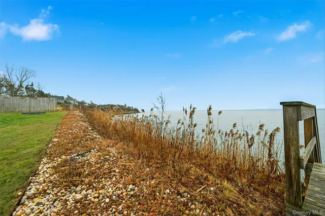a view of a large body of water with a tree in the background