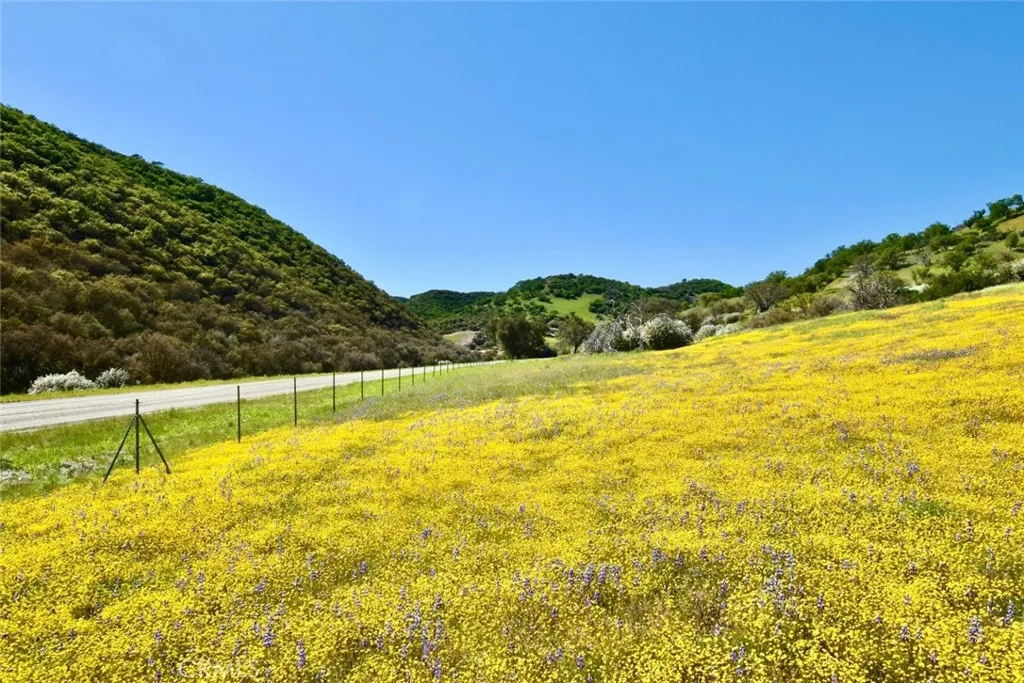 a view of an outdoor space and a yard