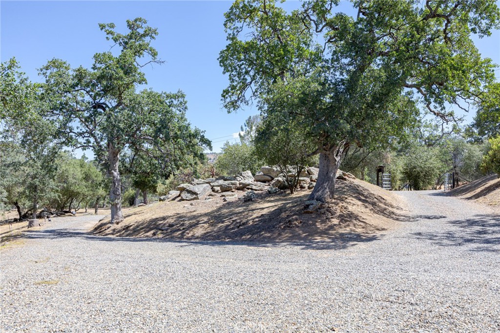 36846 Batti Road Coarsegold, CA 93614 - Photo 58 of 62