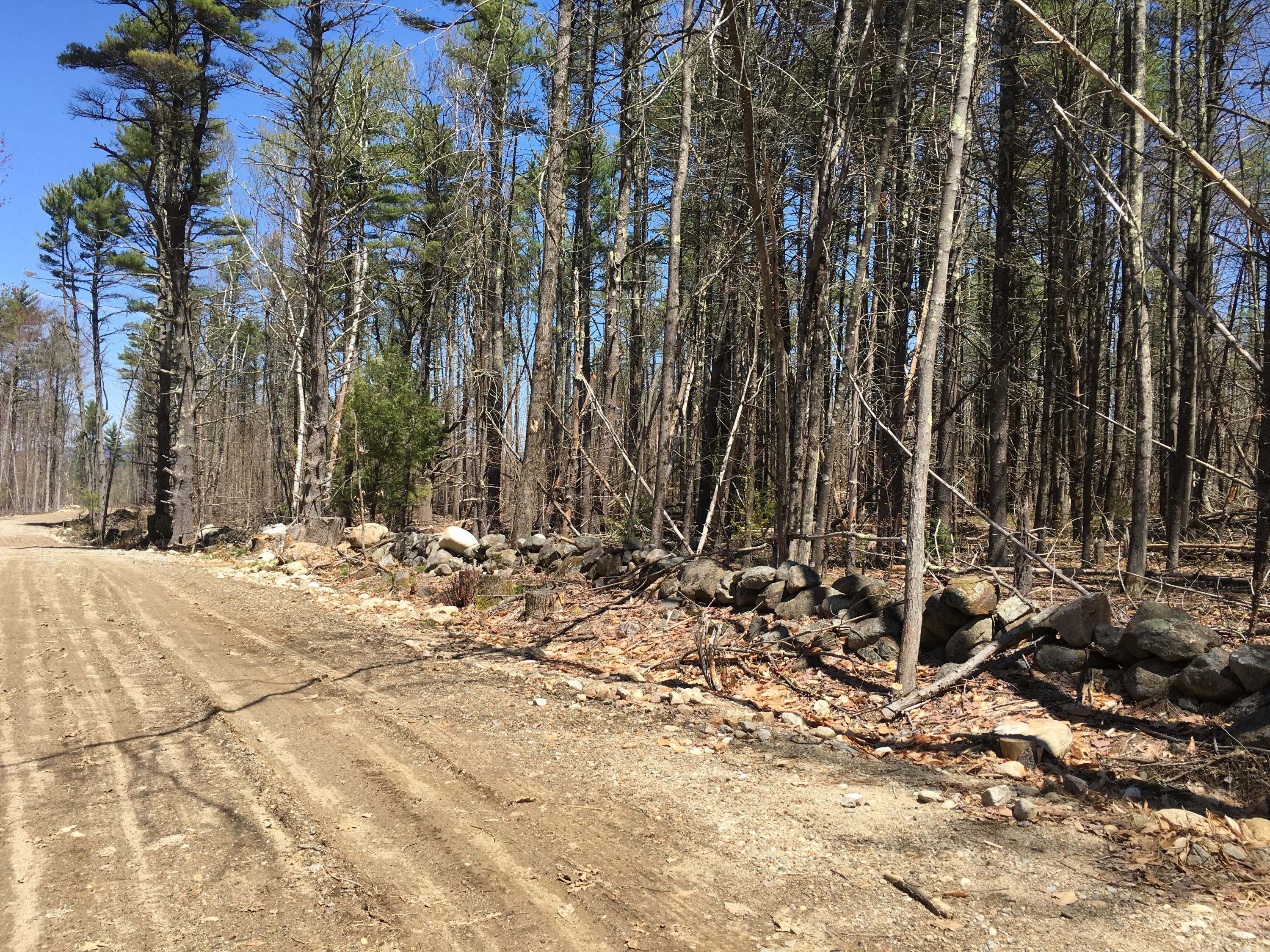 46-acres Acton Ridge Road Acton, ME 04001 - Photo 7 of 12 2F8AB793-BF23-4693-A82B-69F756C2C692