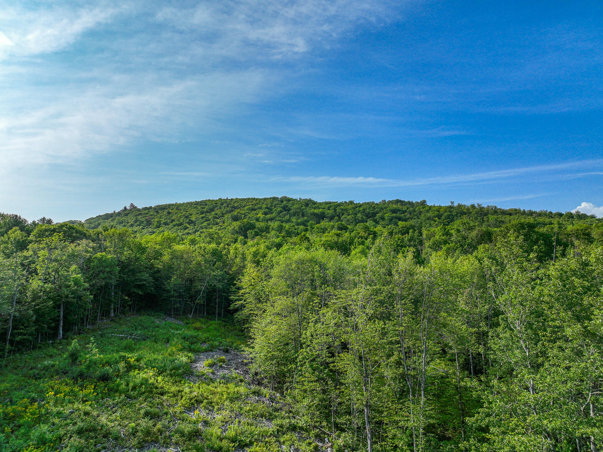 0 Swain Road Rumford, ME 04276 - Photo 13 of 19 DJI_0956