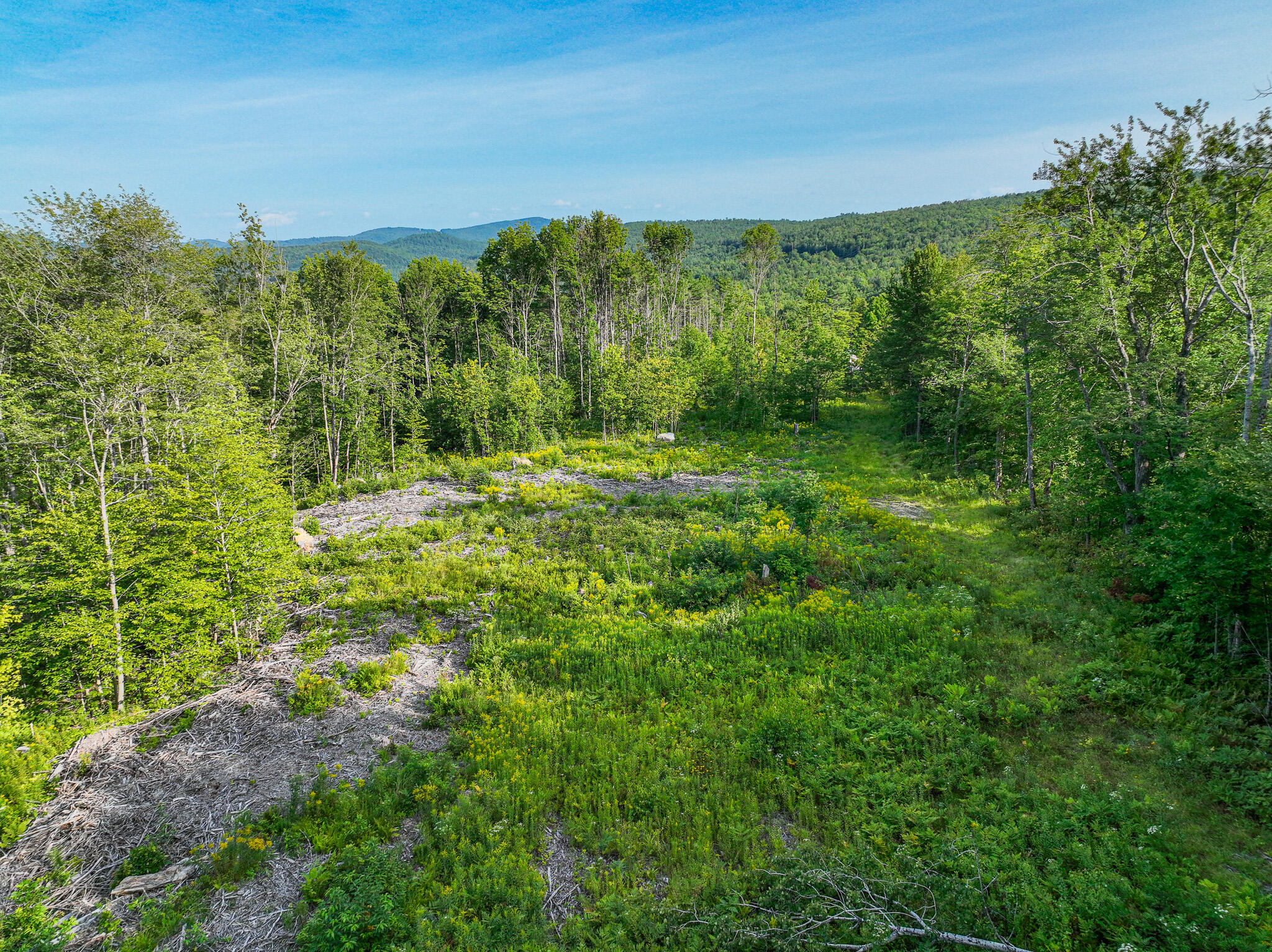 0 Swain Road Rumford, ME 04276 - Photo 3 of 19 DJI_0946