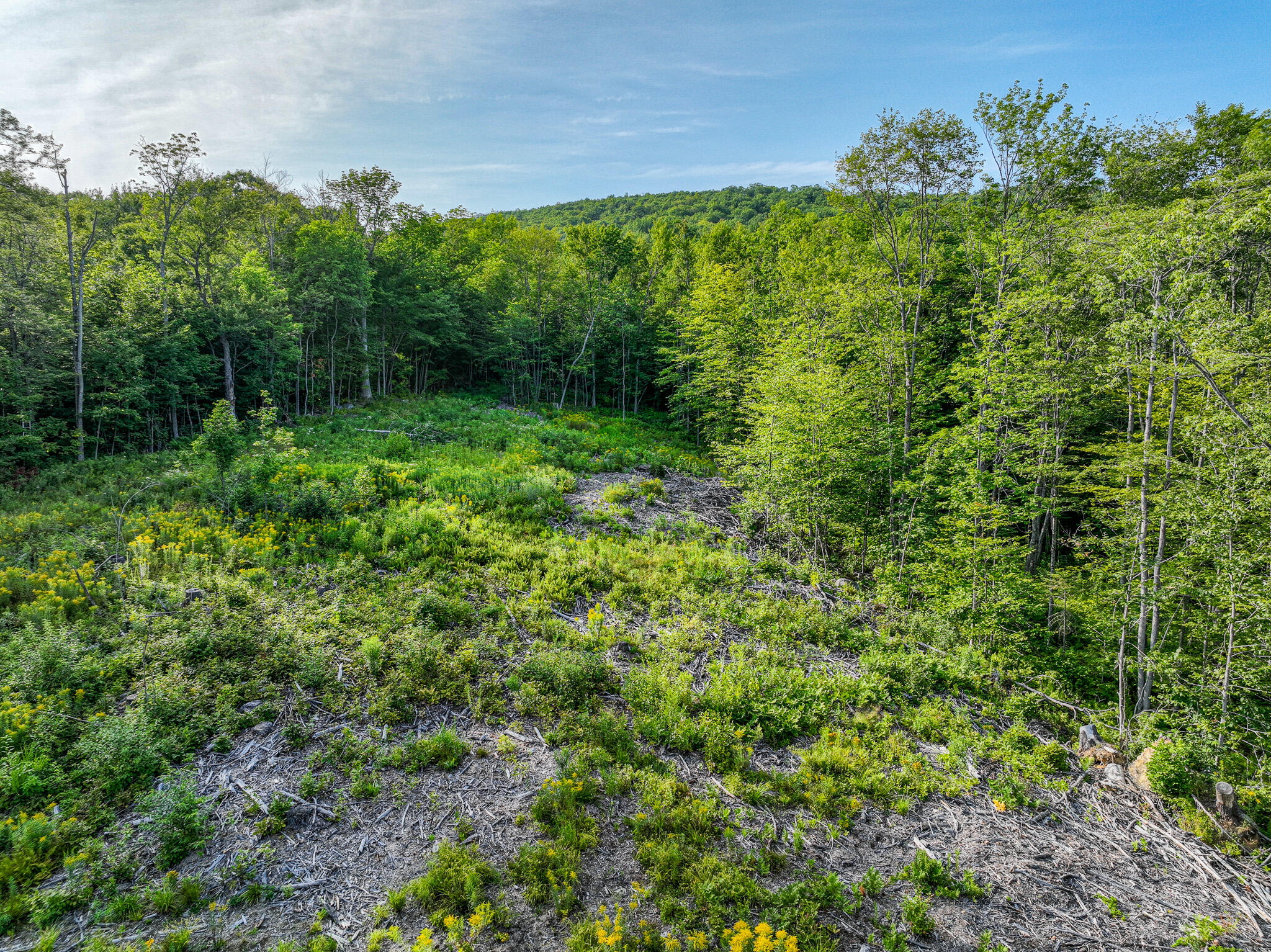 0 Swain Road Rumford, ME 04276 - Photo 7 of 19 DJI_0950