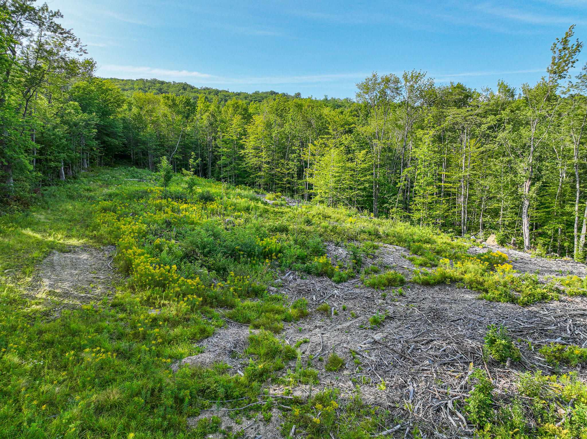 0 Swain Road Rumford, ME 04276 - Photo 8 of 19 DJI_0951