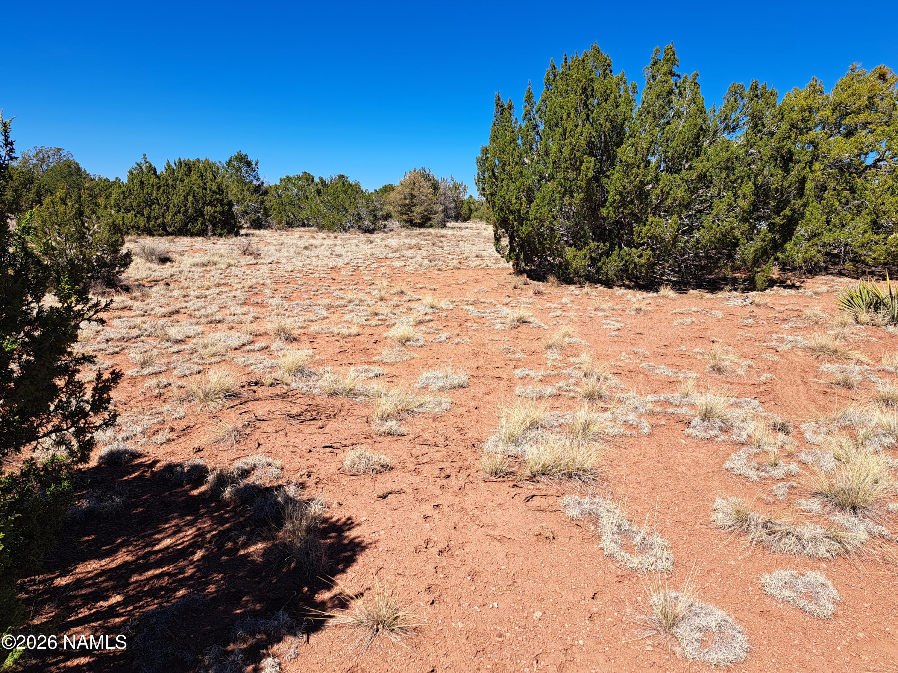 a view of a yard with a snow