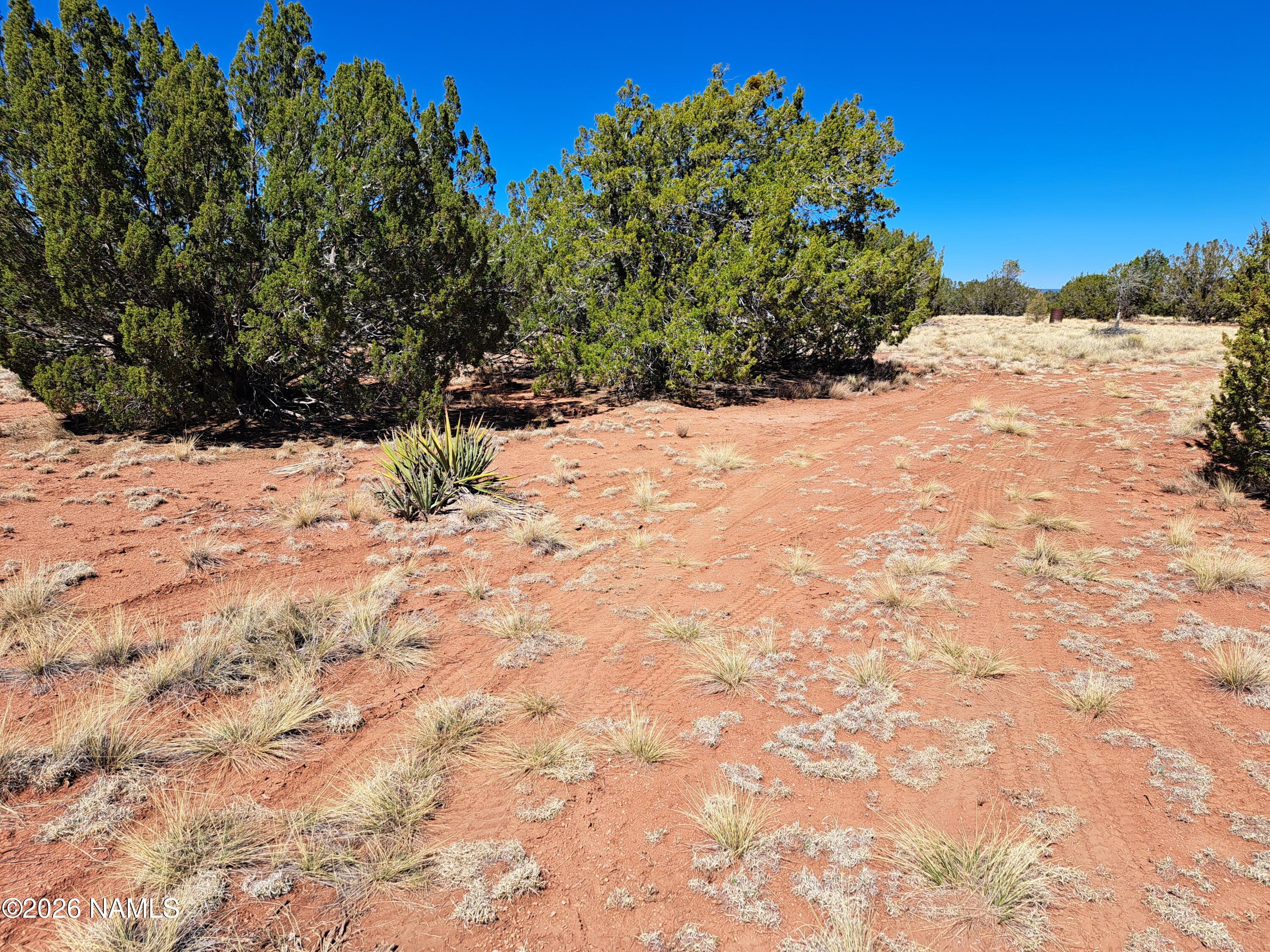 4287 East Wingfield Road Williams, AZ 86046 - Photo 2 of 3 a view of a snow in the yard