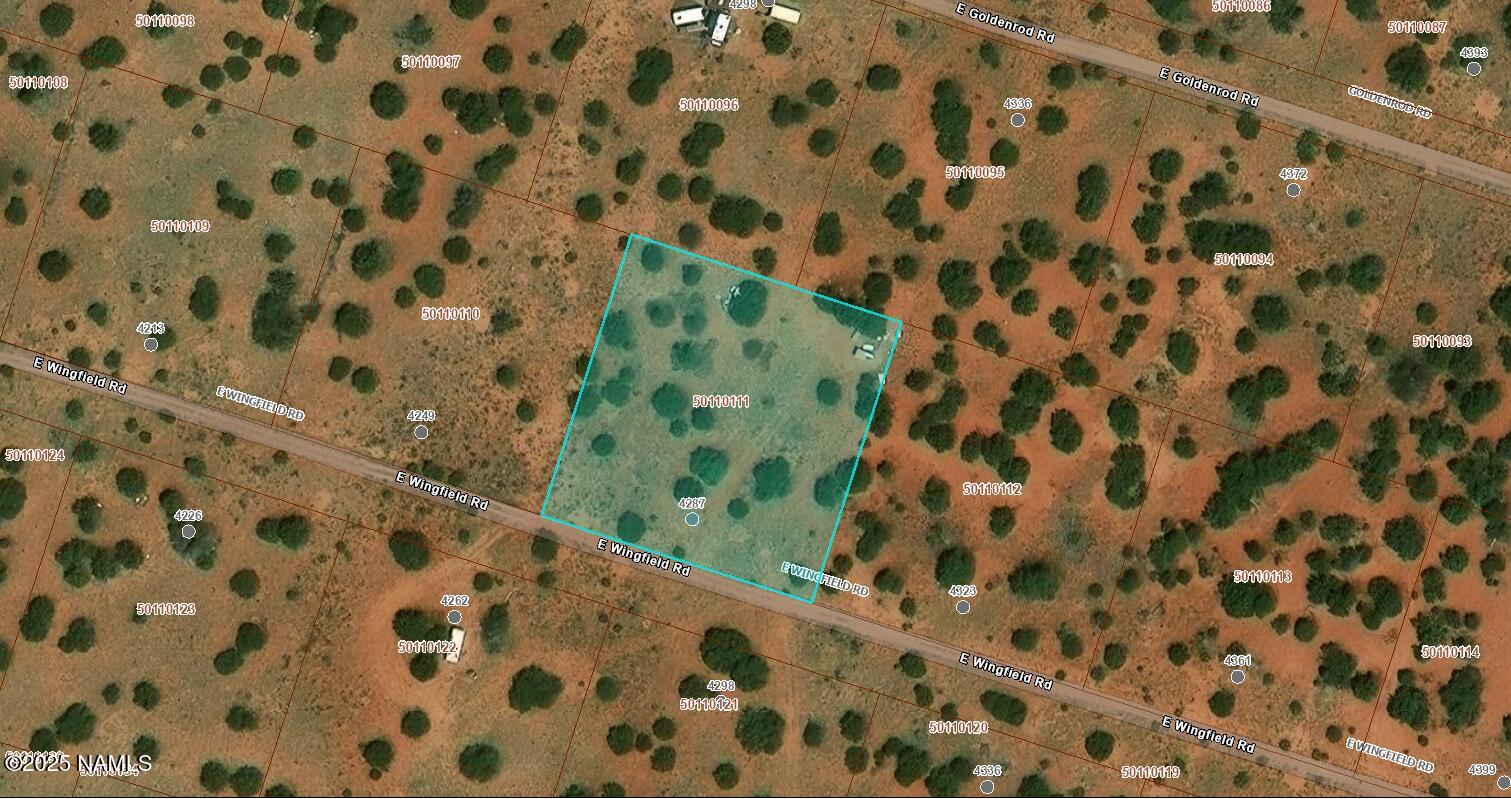 4287 East Wingfield Road Williams, AZ 86046 - Photo 3 of 3 a bathroom with a shower curtain