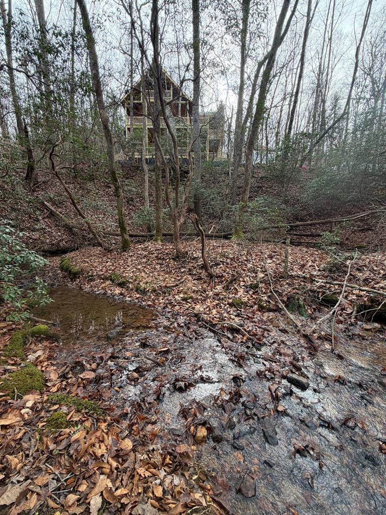 811 Mangum's Trail Blue Ridge, GA 30513 - Photo 62 of 70