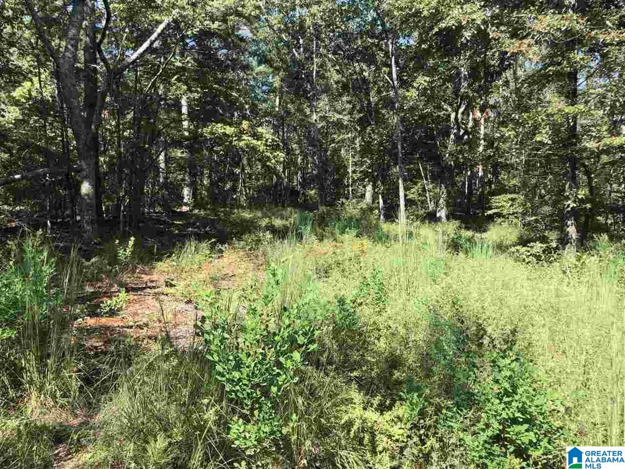 200-acres High Road, Unit 200 ACRES Pell City, AL 35128 - Photo 8 of 17