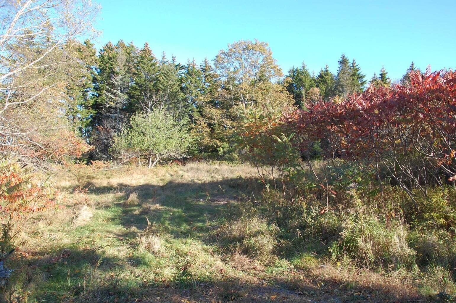 1-2 Bayview Road Orrs Island, ME 04066 - Photo 25 of 35 20210308161306709313000000-o