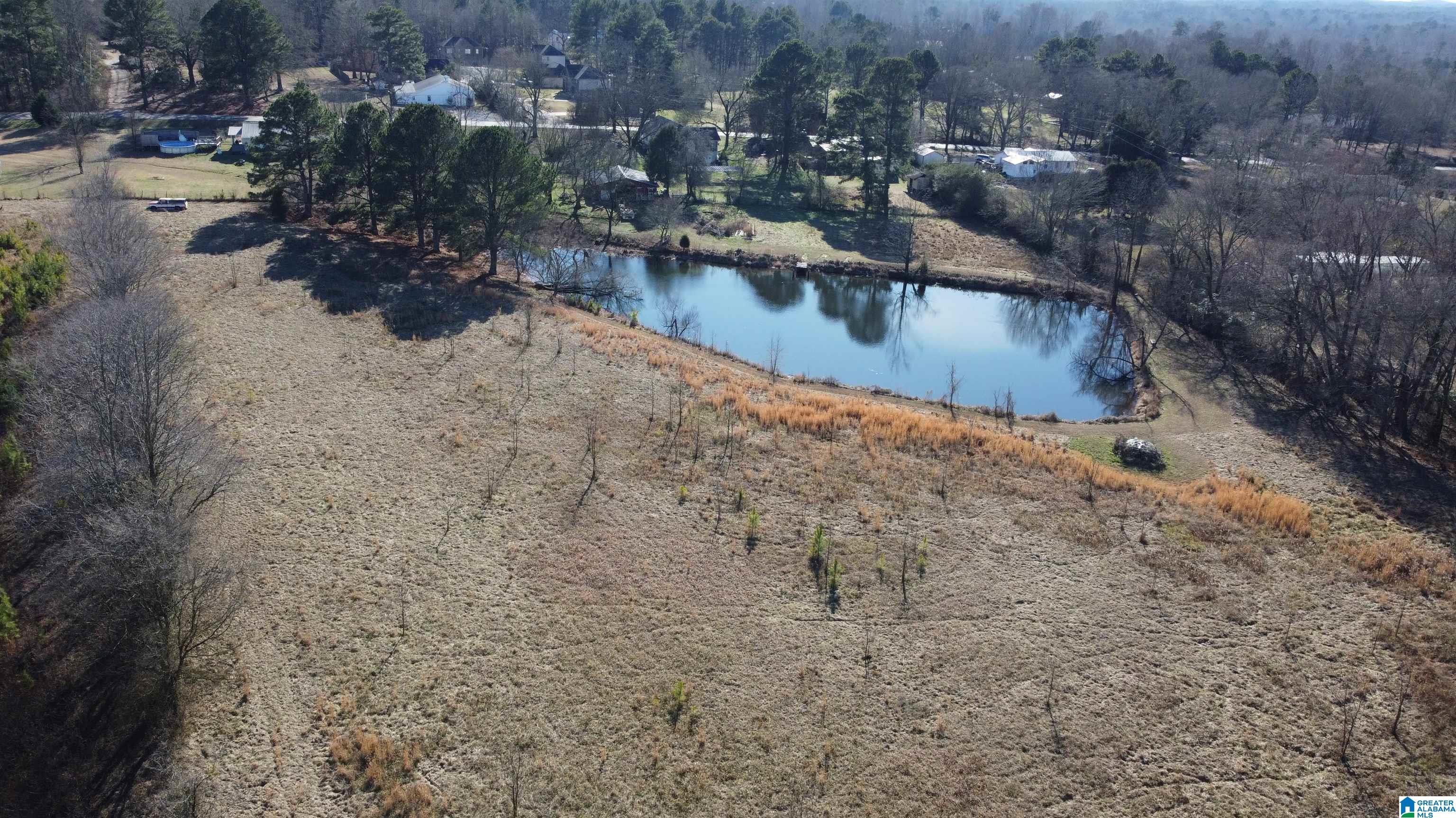 2879 Kelly Creek Road Odenville, AL 35120 - Photo 3 of 25