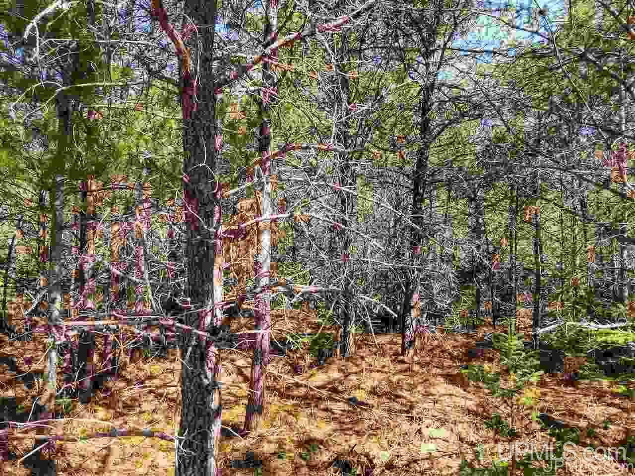 Tbd Forest Hwy 16 Road Iron River, MI 49935 - Photo 16 of 49