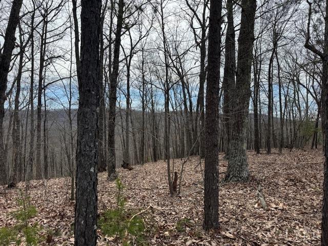 -lot 9 Nighthawk Road Lynchburg, VA 24504 - Photo 1 of 9 Gallery Image 1