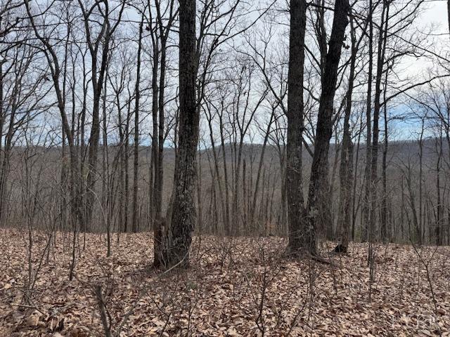 -lot 9 Nighthawk Road Lynchburg, VA 24504 - Photo 2 of 9 Gallery Image 2