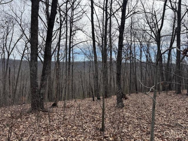 -lot 9 Nighthawk Road Lynchburg, VA 24504 - Photo 3 of 9 Gallery Image 3