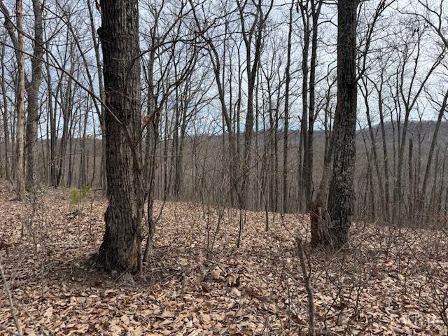 -lot 9 Nighthawk Road Lynchburg, VA 24504 - Photo 4 of 9 Gallery Image 4