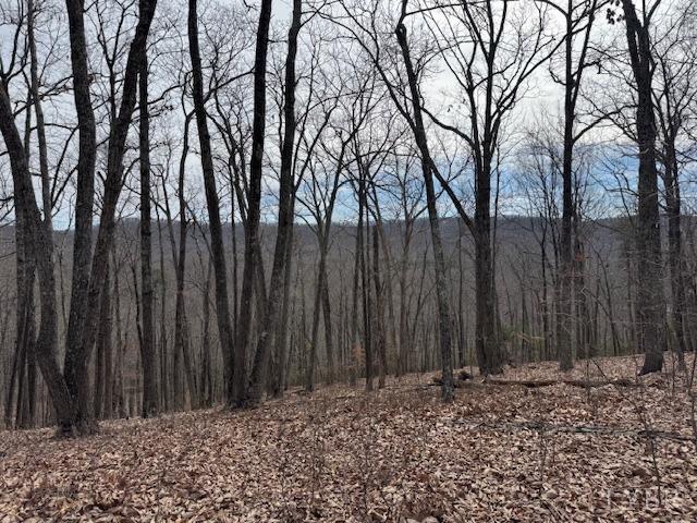 -lot 9 Nighthawk Road Lynchburg, VA 24504 - Photo 5 of 9 Gallery Image 5