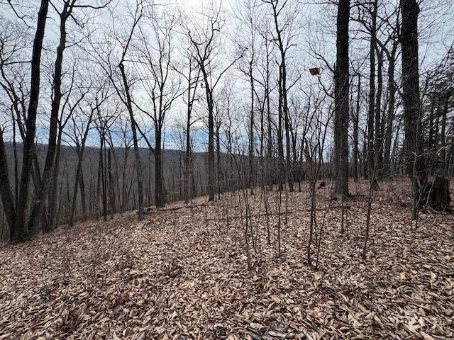 -lot 9 Nighthawk Road Lynchburg, VA 24504 - Photo 6 of 9 Gallery Image 6