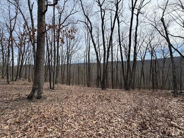 -lot 9 Nighthawk Road Lynchburg, VA 24504 - Photo 7 of 9 Gallery Image 7