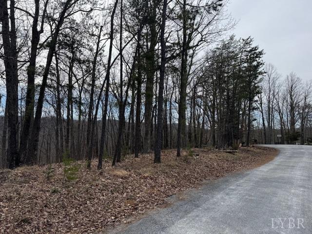 -lot 9 Nighthawk Road Lynchburg, VA 24504 - Photo 9 of 9 Gallery Image 9