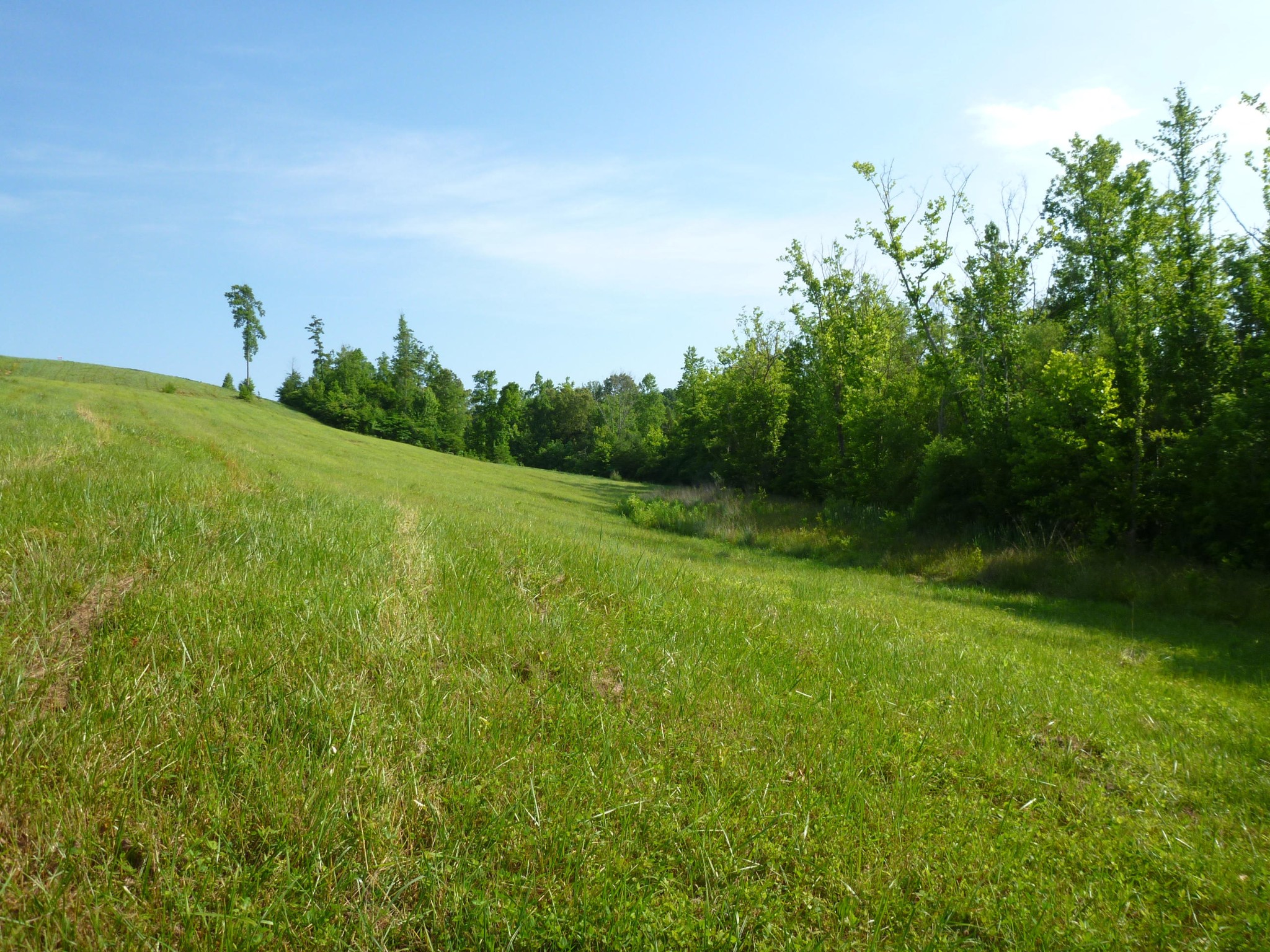 0 Big Gully Road Maryville, TN 37801 - Photo 7 of 8 Gallery Image 7