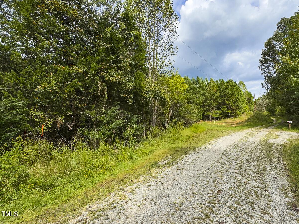 Lot-7-00 Wilson Road Providence, NC 27315 - Photo 3 of 41 Caswell Co. NC 10.03-Backwoods-Lot 7-03