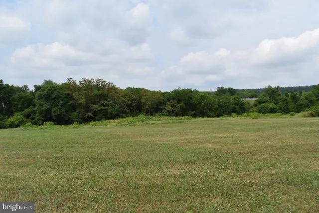a view of field with tall trees around