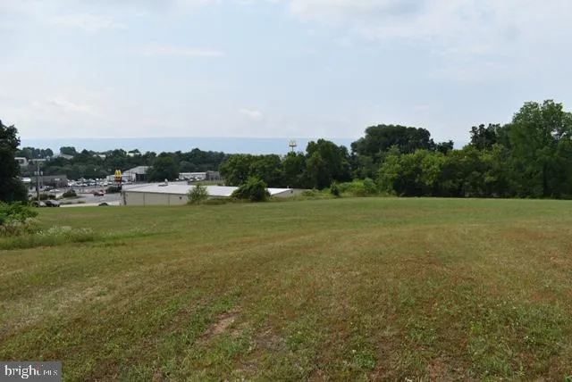 a view of a field with a tree in it