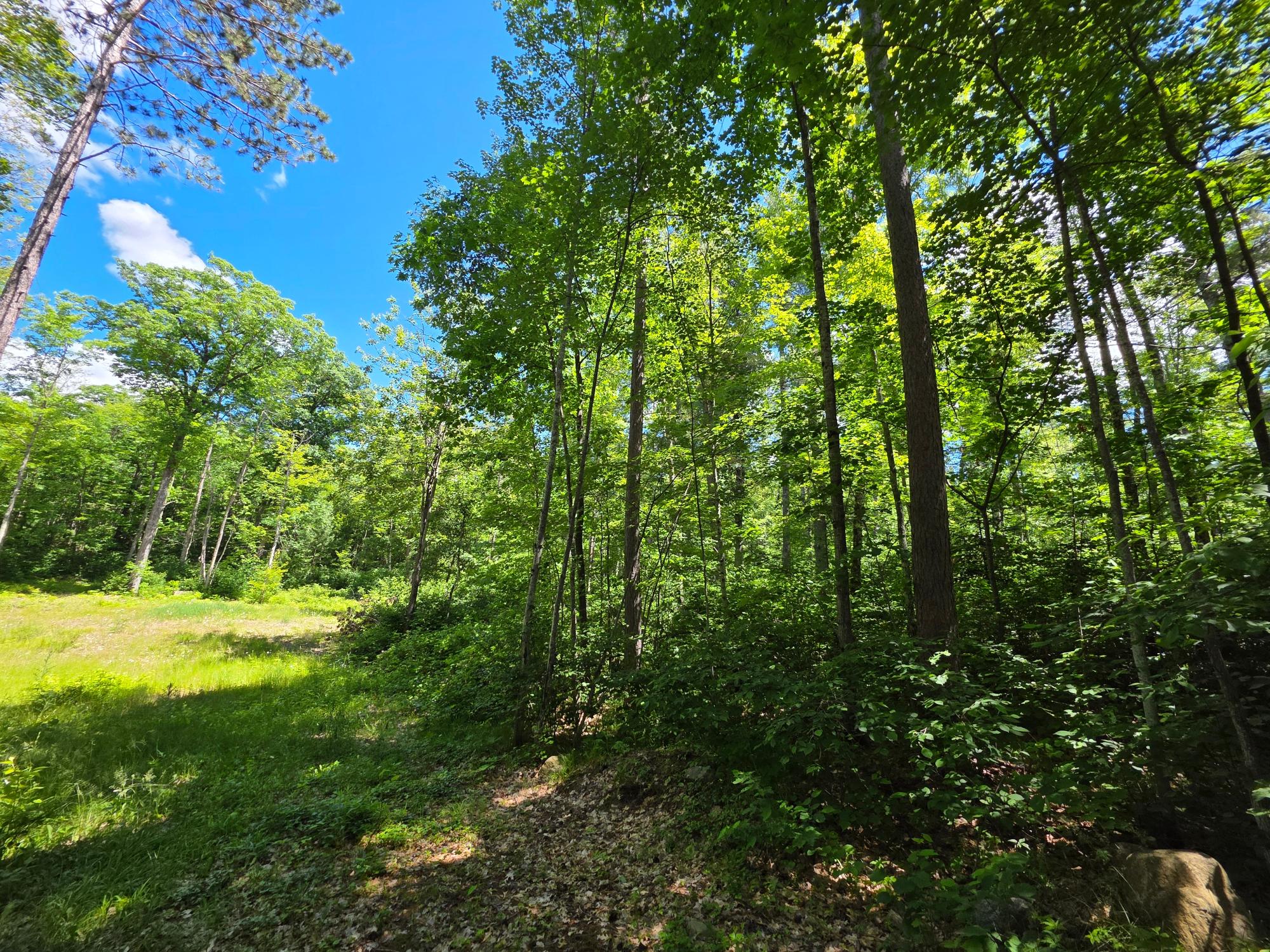 N11478 Cottage Road Tomahawk, WI 54487 - Photo 4 of 27 Gallery Image 4