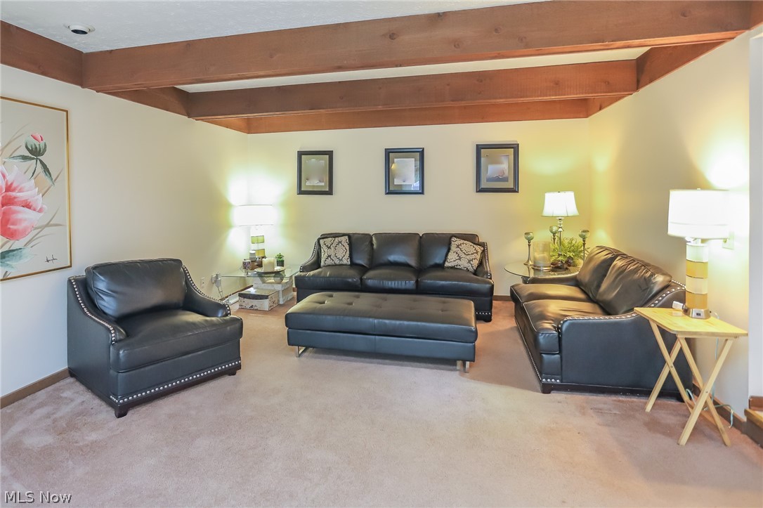 13760 Milo Road Cleveland, OH 44125 - Photo 15 of 33
