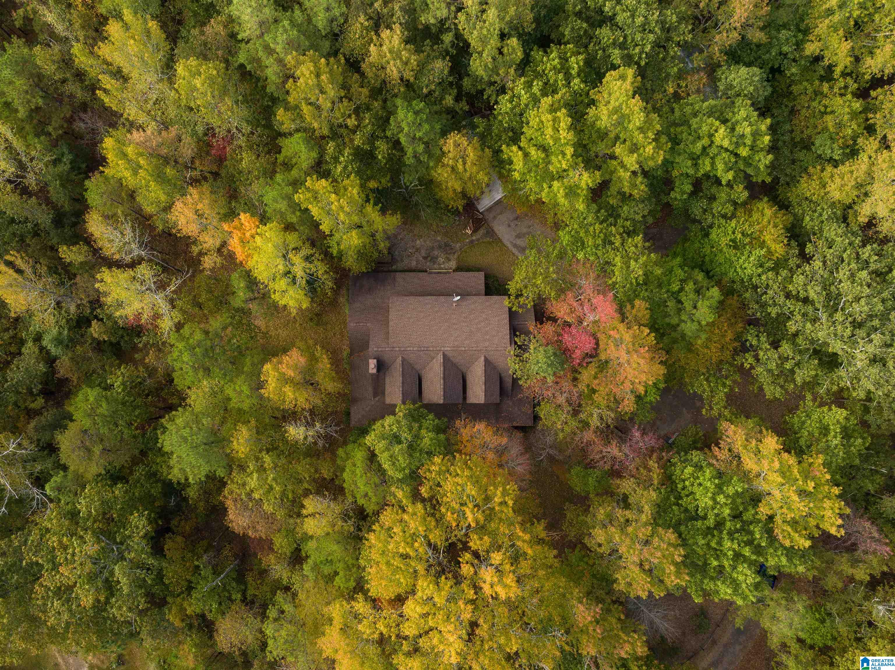 664 Ridge View Drive Trussville, AL 35173 - Photo 6 of 49